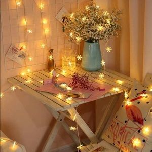 20 pc Holiday Christmas Snowflake String Lights